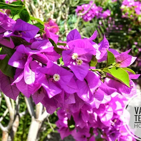 Deluxe With Private Pool El Duque By Vapagó Tenerife Villa